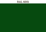 RAL 6001