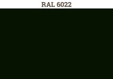 RAL 6022